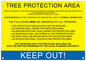 WV5239: Tree Protection Order