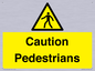 WV5366: Caution Pedestrians