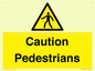 WV5366: Caution Pedestrians