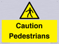 WV5366: Caution Pedestrians