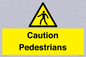 WV5366: Caution Pedestrians