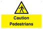 WV5366: Caution Pedestrians