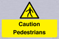 WV5366: Caution Pedestrians
