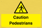WV5366: Caution Pedestrians