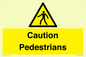 WV5366: Caution Pedestrians