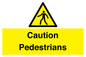 WV5366: Caution Pedestrians