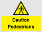 WV5366: Caution Pedestrians