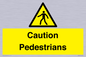 WV5366: Caution Pedestrians