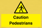 WV5366: Caution Pedestrians