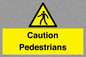 WV5366: Caution Pedestrians