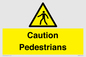 WV5366: Caution Pedestrians