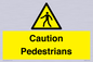 WV5366: Caution Pedestrians