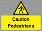 WV5366: Caution Pedestrians