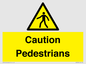 WV5366: Caution Pedestrians