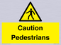 WV5366: Caution Pedestrians