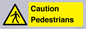 WV5366: Caution Pedestrians