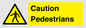 WV5366: Caution Pedestrians