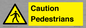 WV5366: Caution Pedestrians
