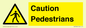 WV5366: Caution Pedestrians