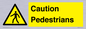 WV5366: Caution Pedestrians