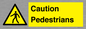 WV5366: Caution Pedestrians