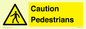 WV5366: Caution Pedestrians