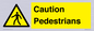 WV5366: Caution Pedestrians