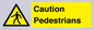 WV5366: Caution Pedestrians
