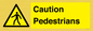WV5366: Caution Pedestrians