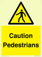 WV5366: Caution Pedestrians