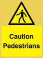 WV5366: Caution Pedestrians