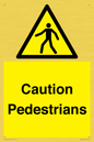 WV5366: Caution Pedestrians