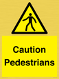 WV5366: Caution Pedestrians