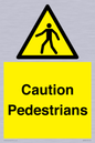 WV5366: Caution Pedestrians