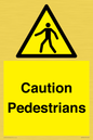 WV5366: Caution Pedestrians