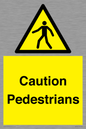 WV5366: Caution Pedestrians
