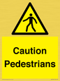 WV5366: Caution Pedestrians