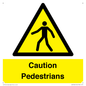 WV5366: Caution Pedestrians