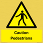 WV5366: Caution Pedestrians