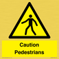 WV5366: Caution Pedestrians