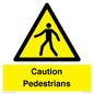 WV5366: Caution Pedestrians