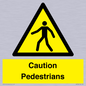 WV5366: Caution Pedestrians