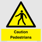 WV5366: Caution Pedestrians