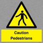 WV5366: Caution Pedestrians