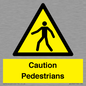 WV5366: Caution Pedestrians