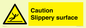 WV5503: Caution Slippery surface