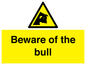 WV7008: Beware of the bull