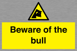 WV7008: Beware of the bull