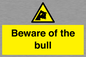 WV7008: Beware of the bull