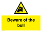 WV7008: Beware of the bull